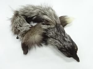 アンティーク　FOXショール